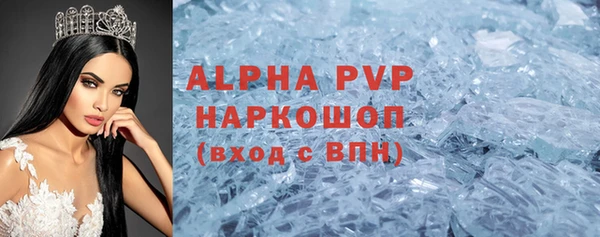 ПСИЛОЦИБИНОВЫЕ ГРИБЫ Осинники