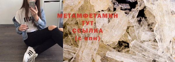 ПСИЛОЦИБИНОВЫЕ ГРИБЫ Осинники