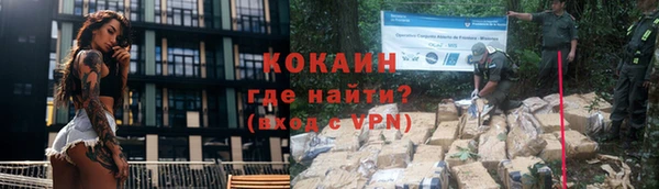 ПСИЛОЦИБИНОВЫЕ ГРИБЫ Осинники